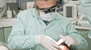 Jak správně péči o stromy v zahradě – informace a tipy