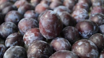 Biopotraviny: Informative