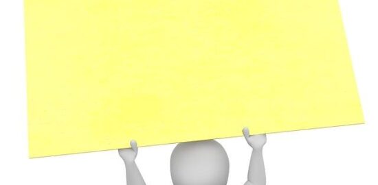 Jak poznat stromy: Průvodce vlastnostmi a druhy