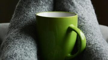 Jak udržet rostliny v zahradě zdravé a krásné