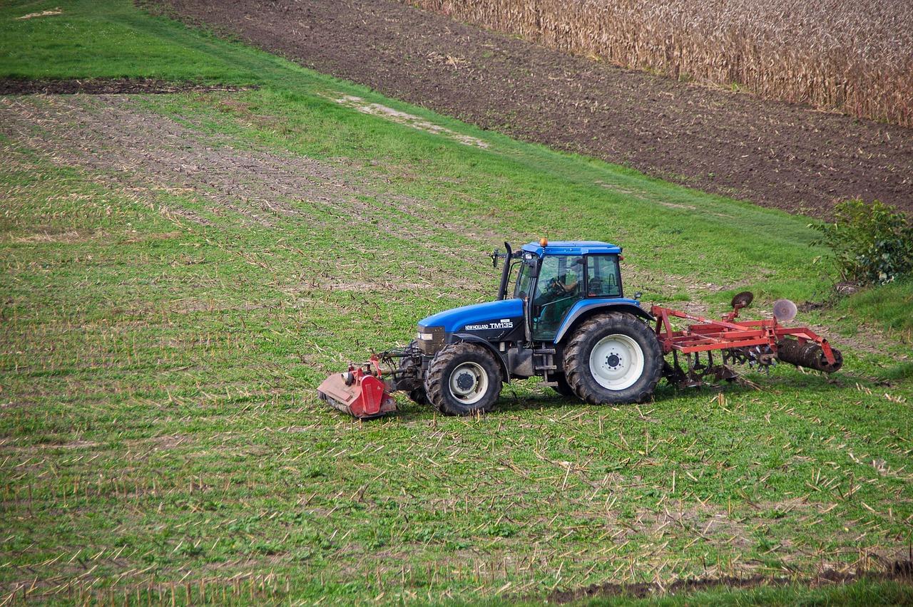 Jak pěstovat zeleninu doma – návody
