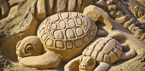 Jak stavět dřevostavby pro trvalou udržitelnost