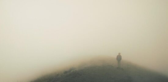 Jak najít a určit stáří stromu