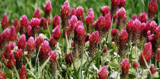 Jak efektivně využít úvěry