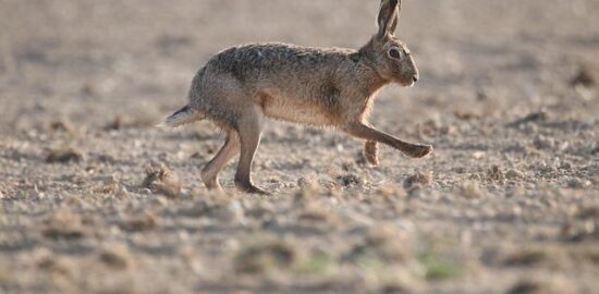 Rychlý průvodce hypotékami