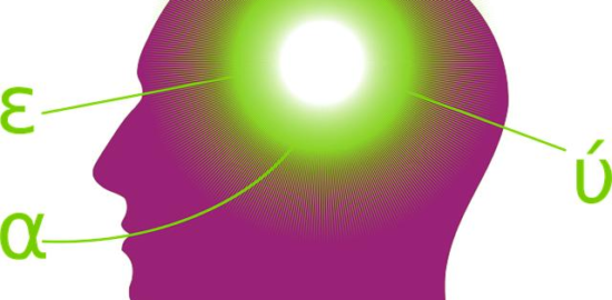 Principy ekonomické efektivity v praxi