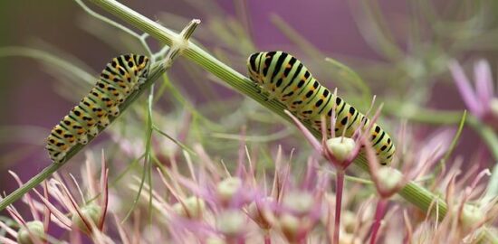 Jak se vyhnout dlouhodobým dluhům