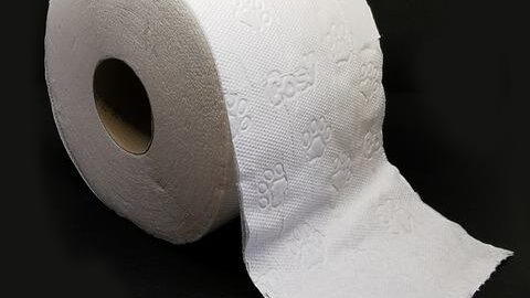 Jaká je role ovoce ve stravování?