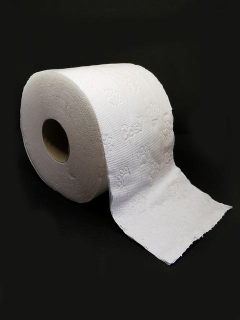 Jaká je role ovoce ve stravování?