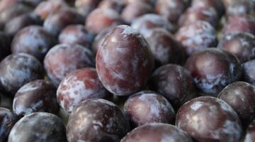 Jak rozpoznat opravdové biopotraviny
