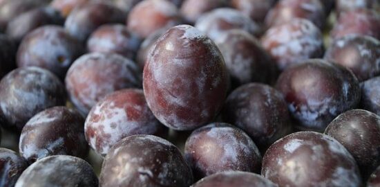 Jak rozpoznat opravdové biopotraviny