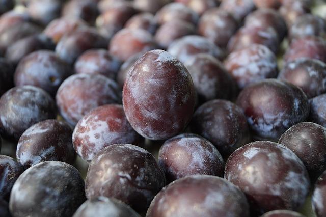 Jak rozpoznat opravdové biopotraviny