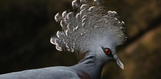 Jak získat výhodný úvěr – Informative