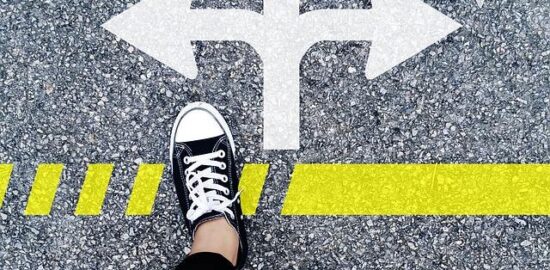 Jak správně vybrat květináč pro vaši rostlinu