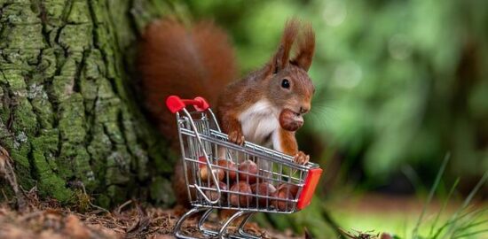 Jak nakupovat levně a efektivně – čeština