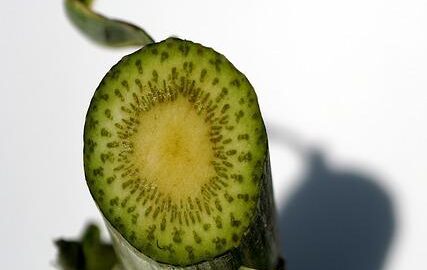 Jak správně vybavit chatu – Informative