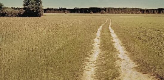 Jak se bránit exekucím: Informativečlánek o českých exekucích