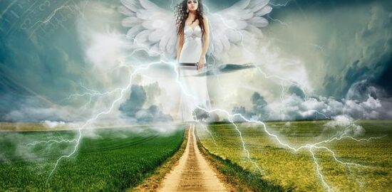 Jak správně používat hnojivo pro růst rostlin