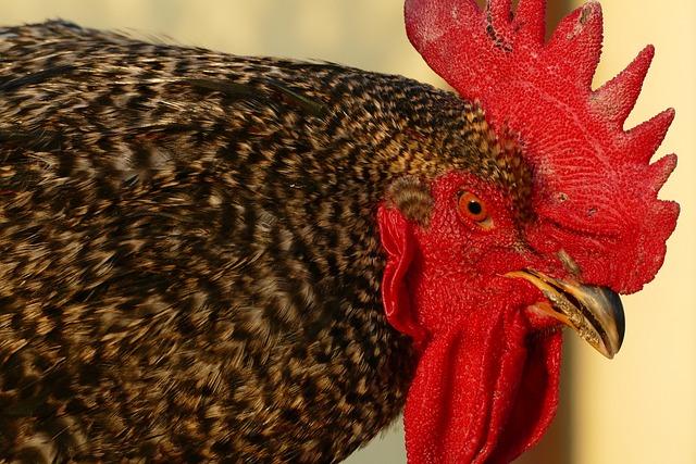 Ekonomické zdvihy a pády: přehled aktuální situace
