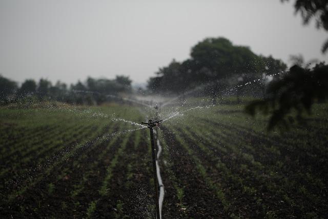 Jak správně hospodařit s energií