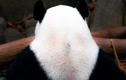 Základy financí: co by měl každý vědět