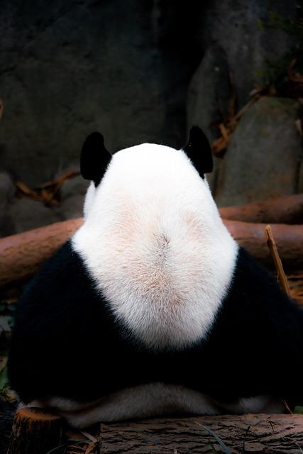 Základy financí: co by měl každý vědět