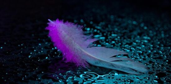 Jak vybrat správný druh podlahy pro váš domov