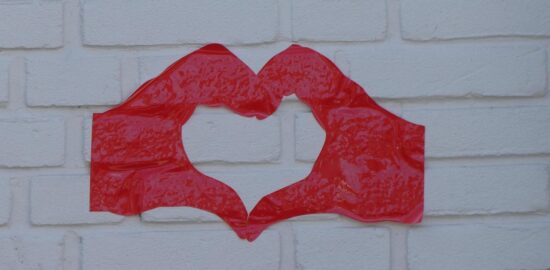 Jak se postarat o chatu: užitečné tipy a rady