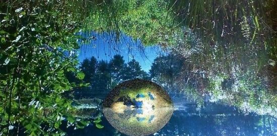 Význam vody pro lidské zdraví: Informative