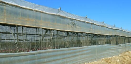 Základy skleníkového pěstování