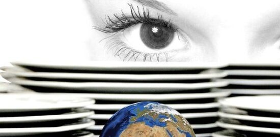 Jak rozpoznat stromy v české přírodě