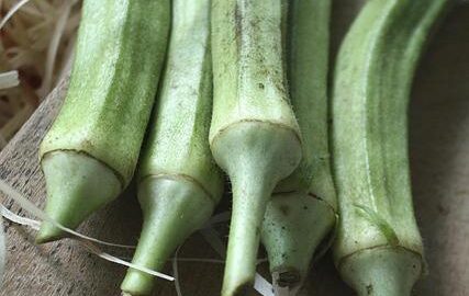 Výhody a nevýhody biopotravin: Informative článek