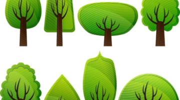 Stromy – Informative