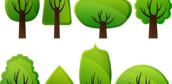 Stromy – Informative