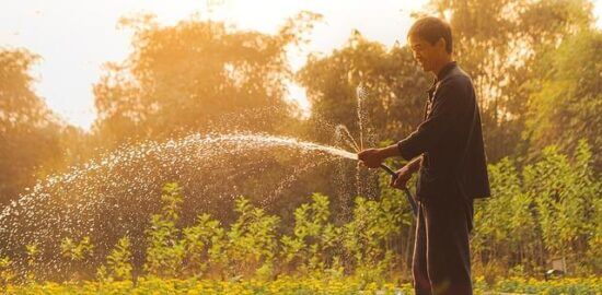 Jak správně zalévat květiny ve zahradě