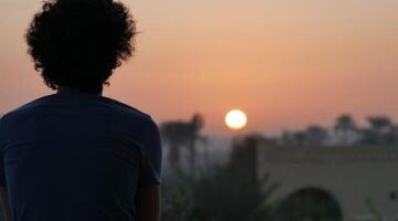 Zelená oáza: tajemství krásné zahrady