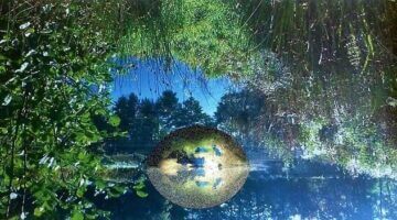 Význam a využití vody v každodenním životě