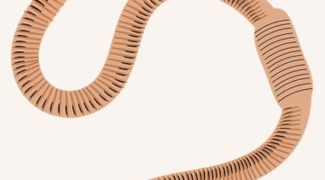 Jak vybrat vhodné hnojivo