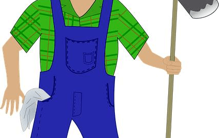 Jak si správně vybrat strom do zahrady