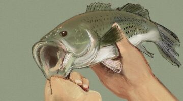 Jak najít opravdu levné oblečení?