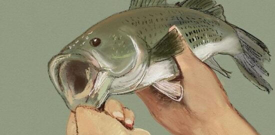 Jak najít opravdu levné oblečení?