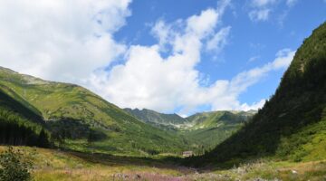 Chata – inspirace pro útulné úpravy