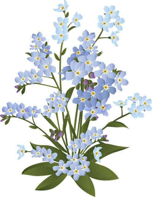 Jaké květiny se hodí do skleníku