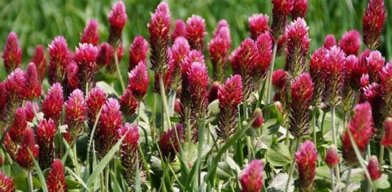 Využití plynu v domácnosti: Informative