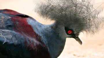 Jak získat výhodnou hypotéku – rady a tipy