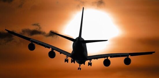 Jak začít s zahradničením: Informative rady pro začátečníky