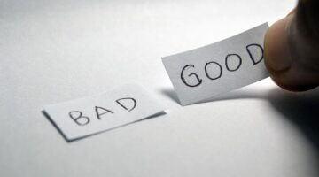 Jak vybrat květináč pro různé typy rostlin