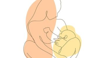 Jak pečovat o pokojovou rostlinu – Informative