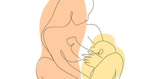 Jak pečovat o pokojovou rostlinu – Informative