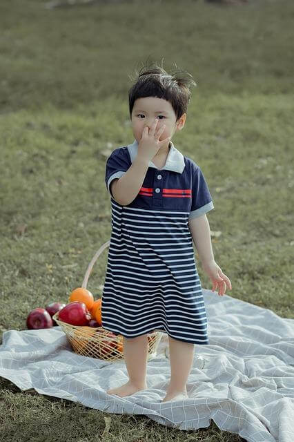 Jak správně vybírat a skladovat ovoce